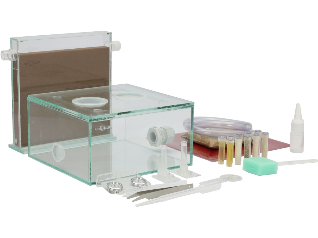 ANTCUBE Starter Kit for Messor spec.